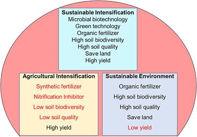 Sustainable Intensification of Maize in the Industrial Revolution: Potential of Nitrifying Bacteria and Archaea